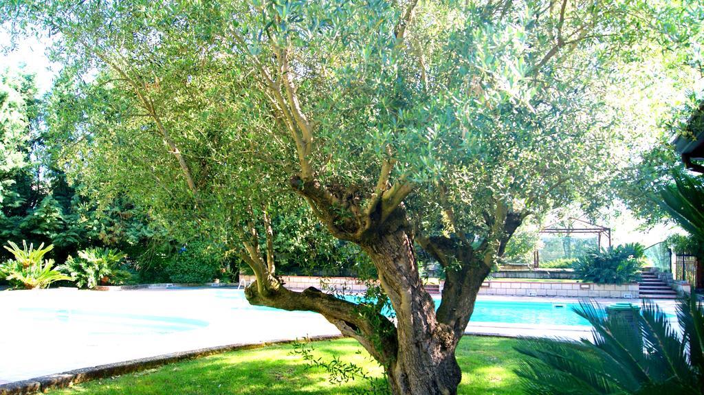 Agriturismo La Colombaia Capua Extérieur photo
